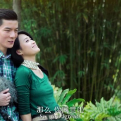 毕业那年：分手季 - 6e96a08c24be5000.png