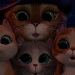 穿靴子的猫：萌猫三剑客 - zEz8TDiMNKHXEUZPPZm6ybr68zU.jpg
