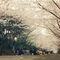寻找小津 - eSmUAMWY5ppkqLOsQF75vzhkwHm.jpg