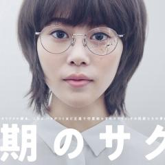 同期的小樱 - vfhsCK3yzCIt8udJEkgvkxNydGZ.jpg