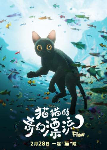 猫猫的奇幻漂流