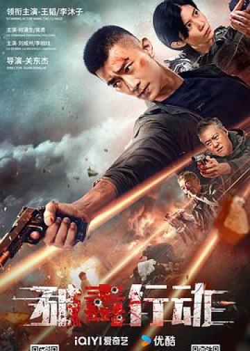 破毒行动
