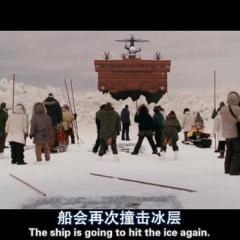 巨大奇迹 - Big-Miracle-1.jpg