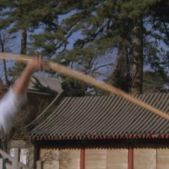 南北少林 - n5AUWY7KJTPr4LzC8TsAXfyv6jD.jpg