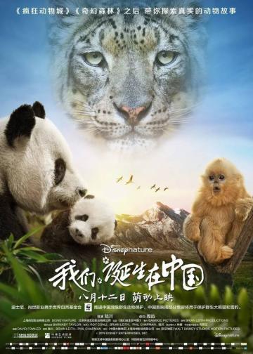 我们诞生在中国