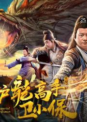 护龙高手卫小保