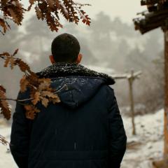 野梨树 - b5kWyjQqPBMOrrLQkS0AvAQyZ6L.jpg