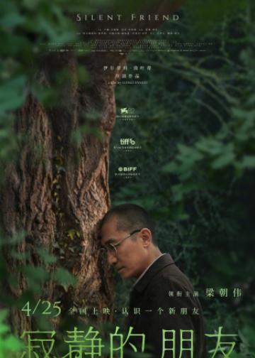 寂静的朋友
