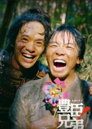 丰臣兄弟！
