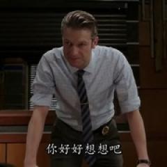 法律与秩序：特殊受害者 第十七季 - p1744669529225334391.jpg