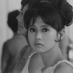 干花 - p5kb2kFKZNbYObRbvnVUZtVOS7e.jpg