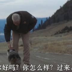 最后的受害者 - p1768538621236024687.jpg