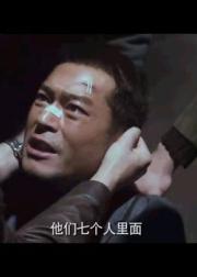 毒战