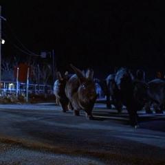 魔兔之夜 - so0WWz5sB4x1jvXczJ3ukxJLlAM.jpg