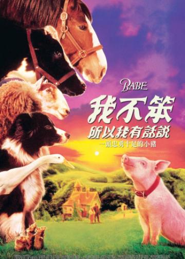 小猪宝贝