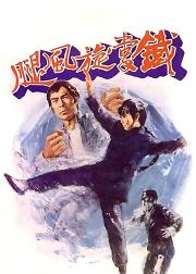 铁掌旋风腿