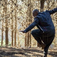 雕拳 - 8TTK5zJzdZ1Yi2aKN0oQ4jidnr1.jpg