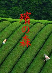 殡之森
