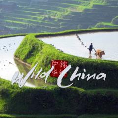 美丽中国 - arawq28pGE1GaQ9fOmX08KKyZYz.jpg