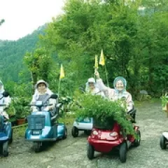 多彩人生 - p177819314362747321.webp
