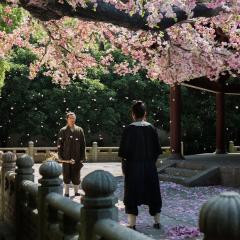 道士下山 - huE9Mqyp9LeWYpcRKzC82tSeeZi.jpg