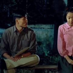 记忆中的风琴 - 1qzoD1J98EyQ9gk7SWnegP8nKnQ.jpg