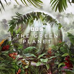 绿色星球 - 9DjRW4X0IqZD0pXtnejZPjbZTrJ.jpg