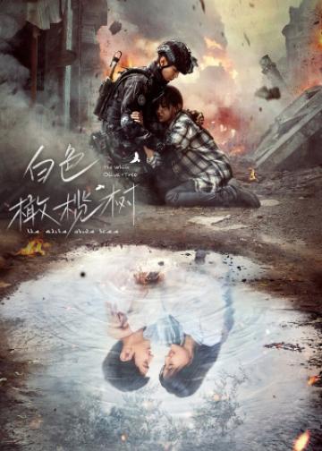 白色橄榄树