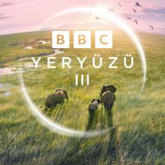 地球脉动 3 - gZu9IdNiz73dBCmxHkDdFRBbpln.jpg