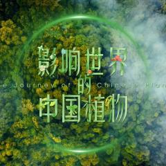 影响世界的中国植物 - sPrpUWRbnOdEZUdmpvJI0BIZRgn.jpg