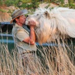 The Lion Man: African Safari - gYDtcsU9xgOC3lNWfmowf3ZlQFd.jpg