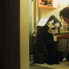 乖狗狗 - eN396YxLBWwI4a0spUrHSpLd9nH.jpg