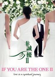 非诚勿扰2